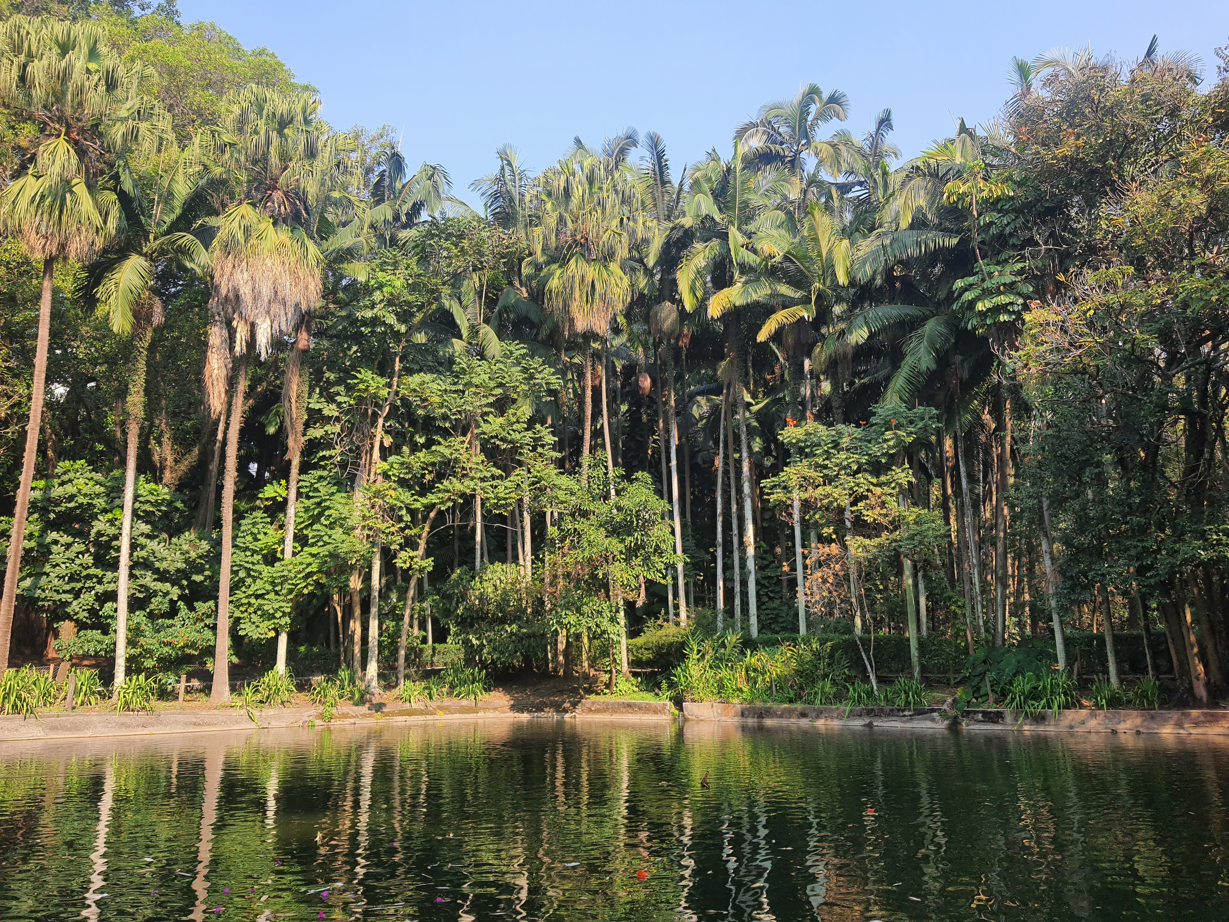 Coworking perto do Parque da Água Branca: uma vantagem real para a rotina